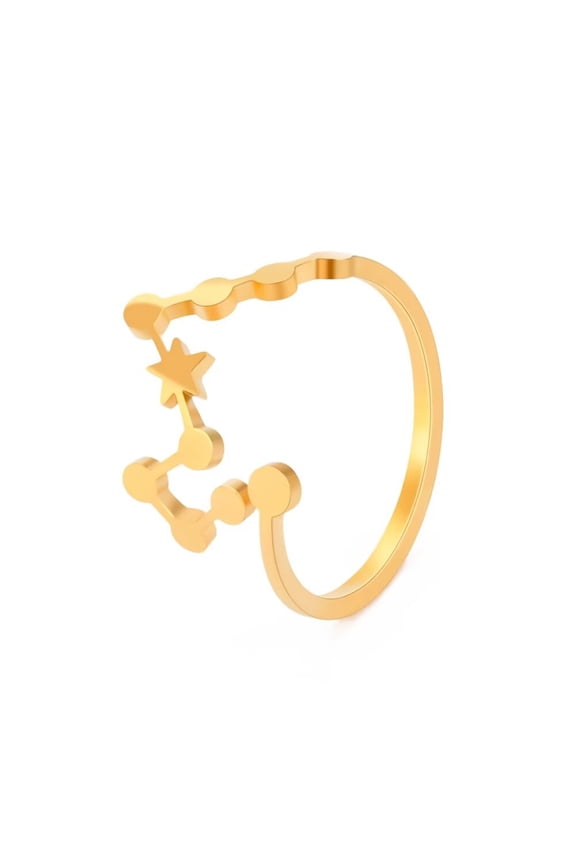 Women's Stainless Steel 12 Celestial Sign Constellation Delicate Hollow Rings Gifts for Birthday Open Rings Gold Pisces Adjustable