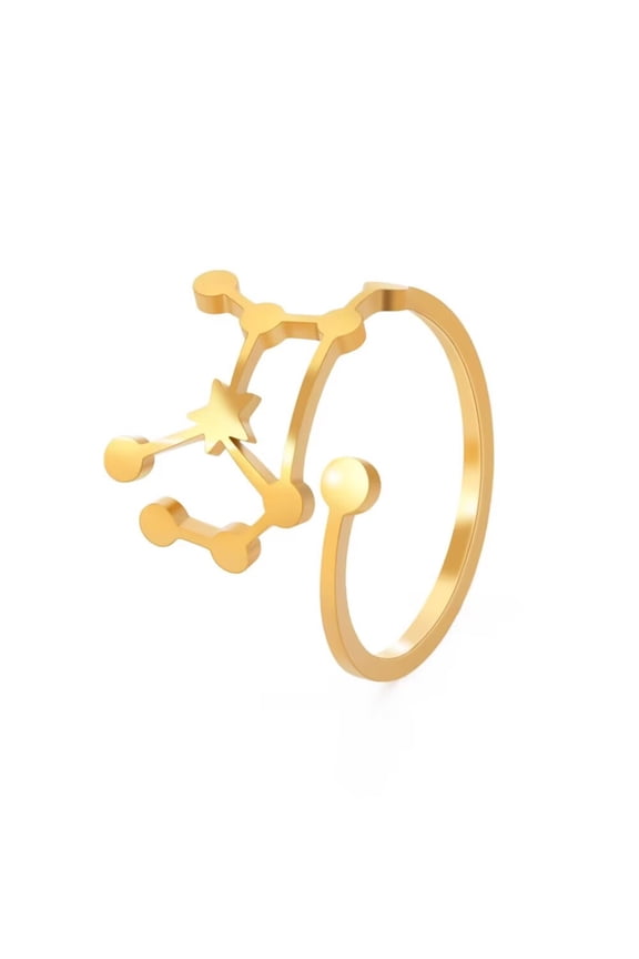 Women's Stainless Steel 12 Celestial Sign Constellation Delicate Hollow Rings Gifts for Birthday Open Rings Gold Virgo Adjustable