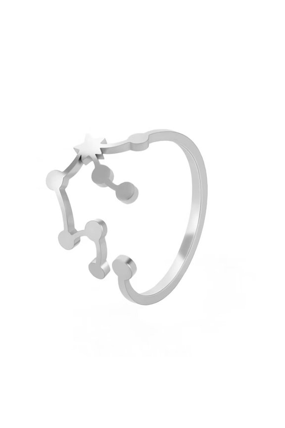 Women's Stainless Steel 12 Celestial Sign Constellation Delicate Hollow Rings Gifts for Birthday Open Rings Silver Aquarius Adjustable