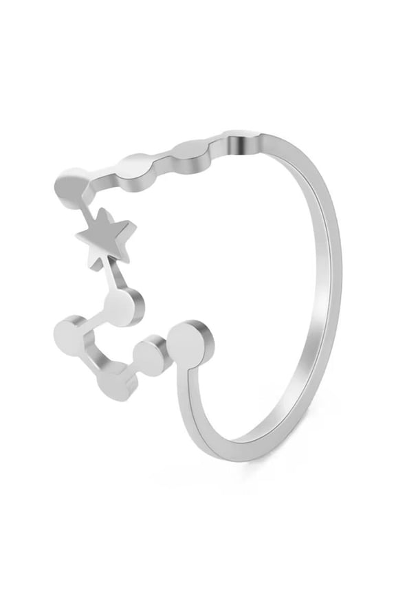 Women's Stainless Steel 12 Celestial Sign Constellation Delicate Hollow Rings Gifts for Birthday Open Rings Silver Pisces Adjustable