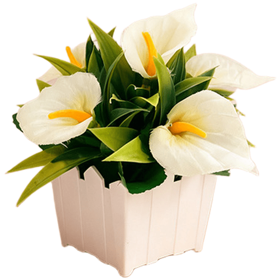 HIKVEX Artificial Calla for Lily Silk Flower Fence Pot for Home Decor Wedding Photography White