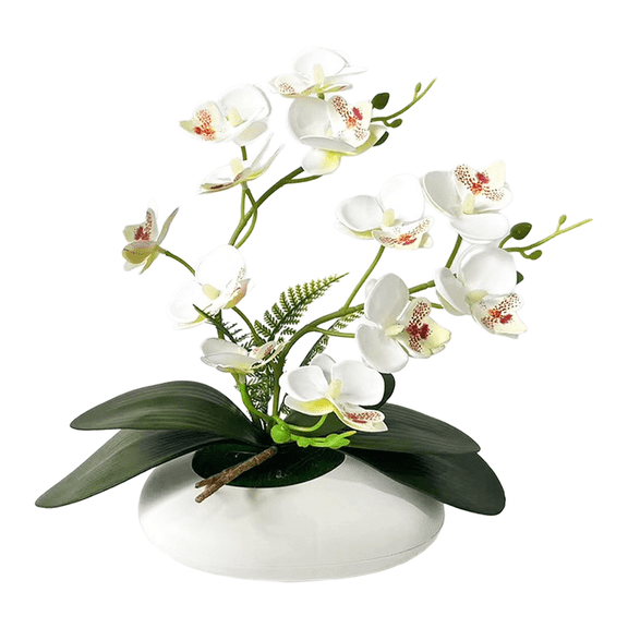 HIKVEX Artificial Orchid Bonsai 12 Flower Phalaenopsis 29cm 11.42In Tabletop Decor White
