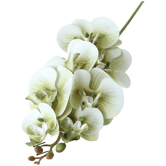 HIKVEX Artificial Phalaenopsis Orchid Silk Flower Bouquet for Wedding Home for Hotel Office Green