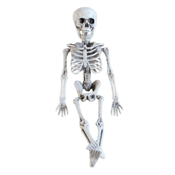 HILABEE 16" Halloween Skeleton Flexible Joints Halloween Decoration Skeleton Model for Indoor Outdoor Front Lawn Spooky Scene Patio Haunted House