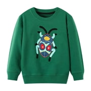 HILEELANG Little Boy Green Sweatshirts Halloween Spider Printed Cotton Casual Crew Neck Long Sleeve Tops Shirt 7Years