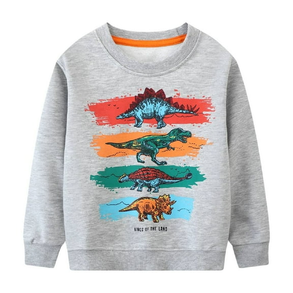 HILEELANG Little Boy Grey Dinosaur Graphic Crewneck Long Sleeve Sweatshirts Pullover Cotton Top Sweater Shirts 6 Years