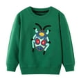 thumbnail image 1 of HILEELANG Toddler Boy Green Sweatshirts Halloween Spider Printed Cotton Casual Crew Neck Long Sleeve Tops Shirt 3T, 1 of 5