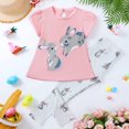 thumbnail image 1 of HILEELANG Toddler Girl Easter T-Shirt Leggings Outfit Set Summer Cotton Dust Pink Bunny Rabbit Ruffle Short Clothing Sets 4T, 1 of 5