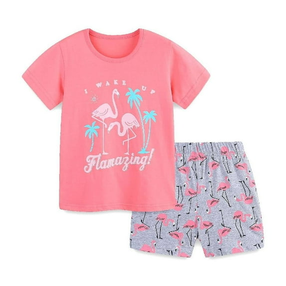 HILEELANG Toddler Girl Summer Short Clothes Sets Outfits Easter Cotton Pink Bird Tee Shirts Shorts Playwear 5T
