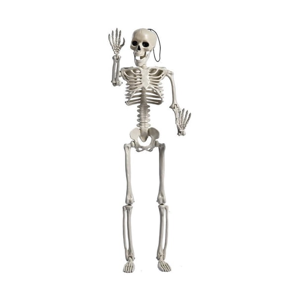HILOGEL Full Body Poseable Small Skeleton PlasticBones for Indoor Outdoor