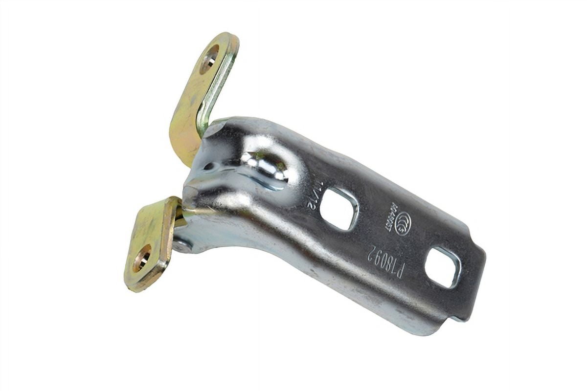 HINGE ASM-FRT S/D (P1)