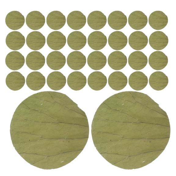 HINTRMENT 100Pcs Olive Green Culinary Lotus Leaves Natural Disposable Plate Liners Ideal for Sushi Plating and Serving