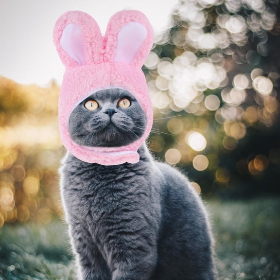HINTRMENT 2Pcs Pet Bunny Ears Hat Assorted Color Sweet Fashionable Decorative Headdress
