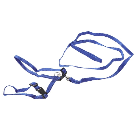 HINTRMENT Adjustable Rabbit Harness Leash with Small Bell in Blue for Secure Outdoor Use