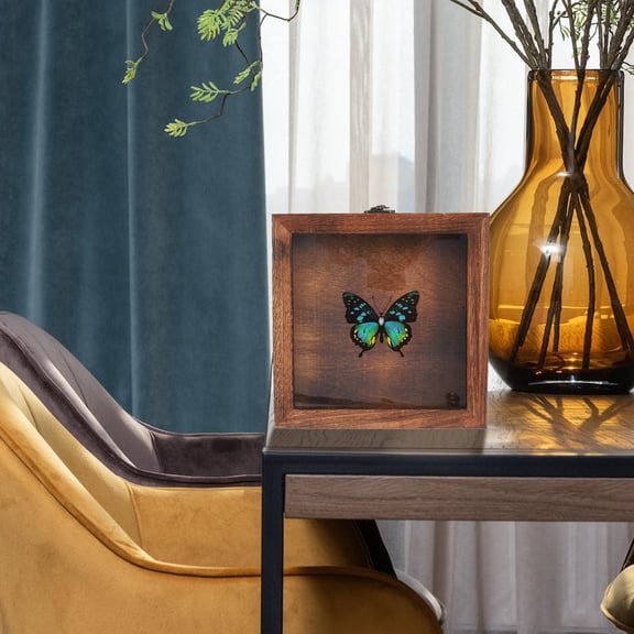HINTRMENT Light Brown Wooden Insect Display Case with Transparent Lid Portable Specimen Box for Decoration