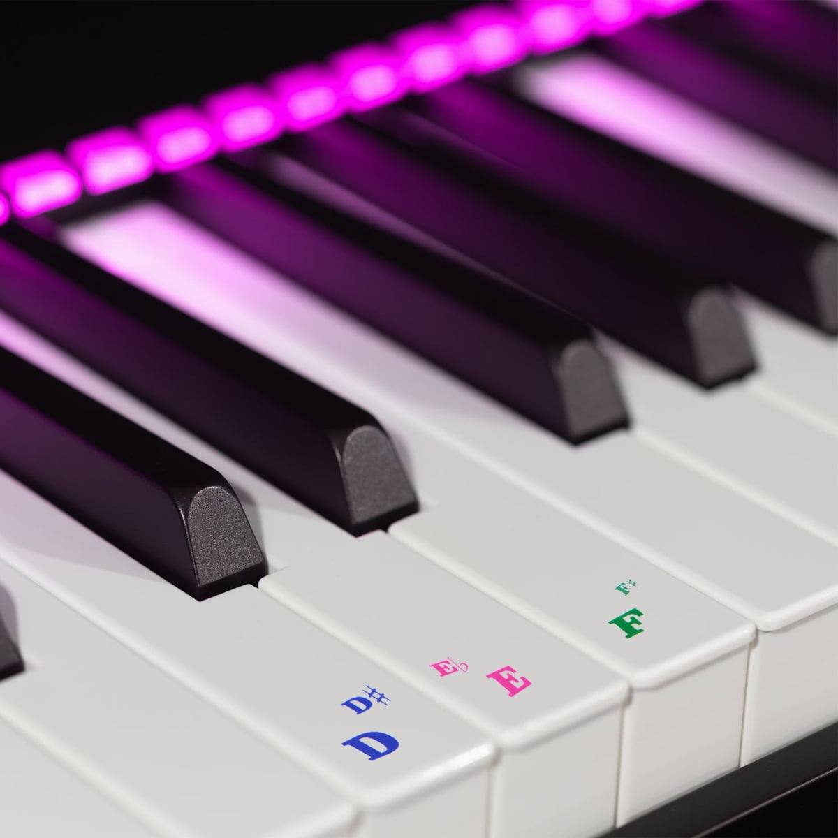 HINTRMENT Piano Keyboard Markers Colorful Design Removable Piano Key ...