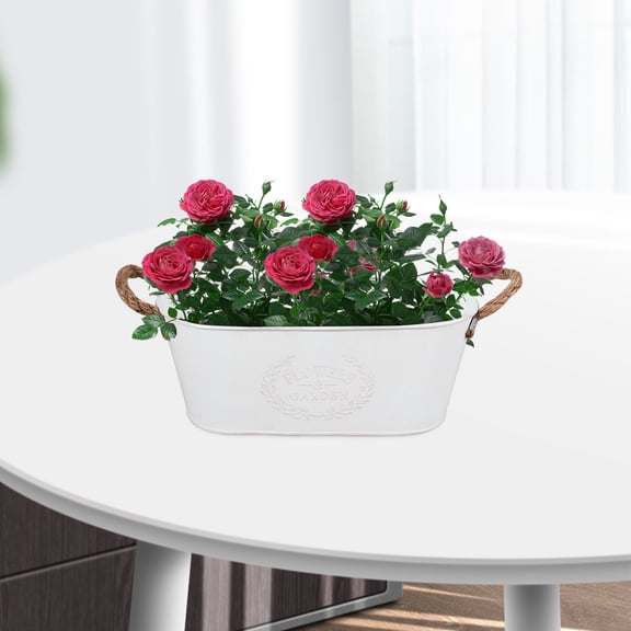 HINTRMENT Vintage Iron Oval Succulent Flower Pot, White Decorative Planter