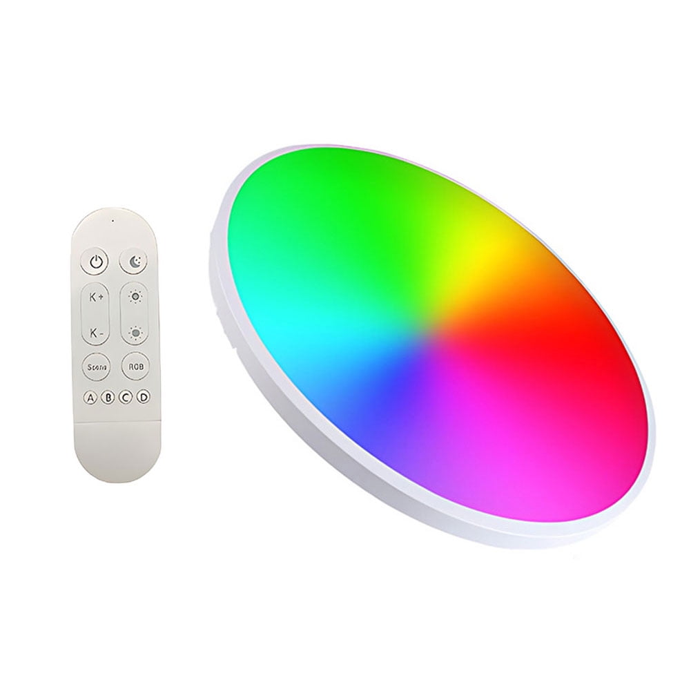 HIPKZ Smart Ceiling Light Flush Mount Ceiling Light with Remote&app ...