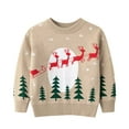 thumbnail image 1 of HIPYLO Oversized Christmas Sweatshirt Inappropriate Christmas Shirts Family Matching Christmas Sweatshirt Teen Boys Tops Size 8-10 Top 12 Year Old, Beige 2-3 Years, 1 of 7