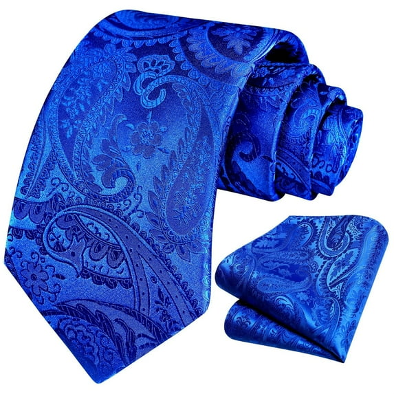 HISDERN Blue Paisley Ties for Mens Silk Ties Handkerchief Floral Men's Necktie & Pocket Square Set