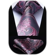 HISDERN Paisley Ties for Men Classic Extra Long Floral Tie and Pocket Square Formal Silk Necktie Handkerchief Set Wedding