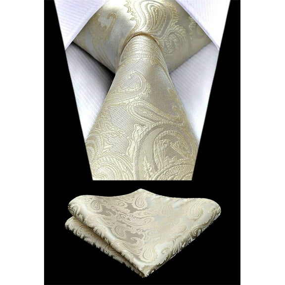 HISDERN Paisley Ties for Men Solid Tie Handkerchief Floral Men's Necktie & Pocket Square Set,Champagne