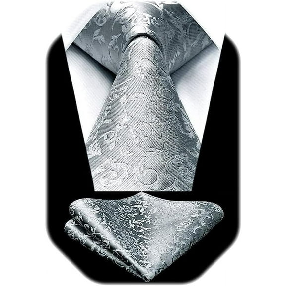 HISDERN Paisley Ties for Men Solid Tie Handkerchief Floral Men's Necktie & Pocket Square Set,Silver