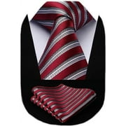 HISDERN Stripe Tie Mens Ties and Pocket Square Set Classic 3.4'' Silk Formal Striped Necktie