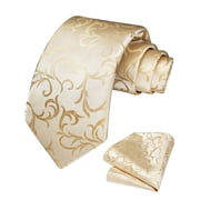 HISDERN Paisley Mens Ties & Handkerchief Set Champagne Gold Floral Necktie Boxed Gift for Wedding Formal