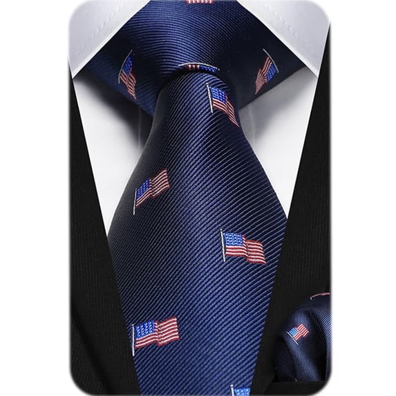 HISDERN Mens Ties Classic Neckties Formal Business Tie Pocket Square Set Wedding Party Festival