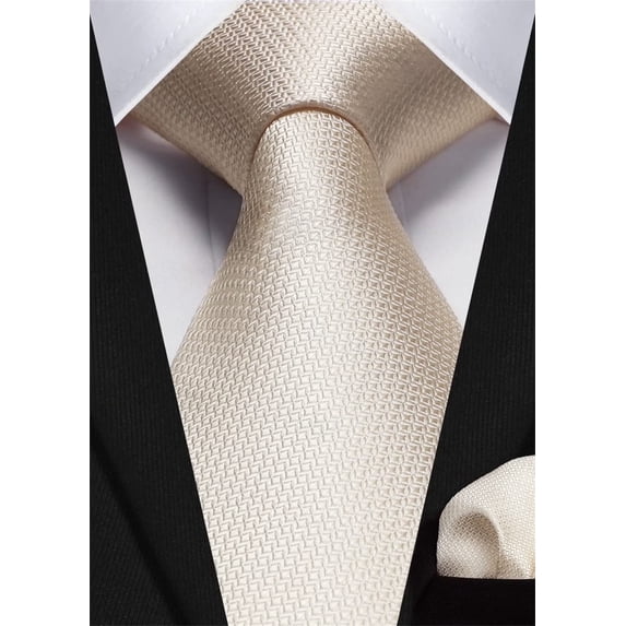HISDERN Champagne Ties for Men Plaid Checked Mens Ties Pocket Square Tie Set Formal Mens Dress Ties