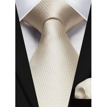 HISDERN Ties for Men Plaid Checked Mens Ties Pocket Square Tie Set Formal Business Wedding Neckties