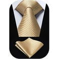 thumbnail image 1 of HISDERN Ties for Men Plaid Checked Mens Ties Pocket Square Tie Set Formal Business Wedding Neckties, 1 of 7