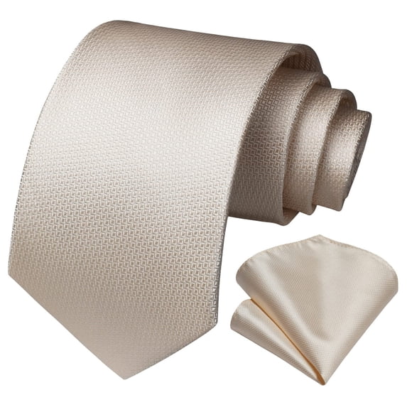 HISDERN Ties for Men Plaid Checked Mens Ties Pocket Square Tie Set Formal Business Wedding Neckties