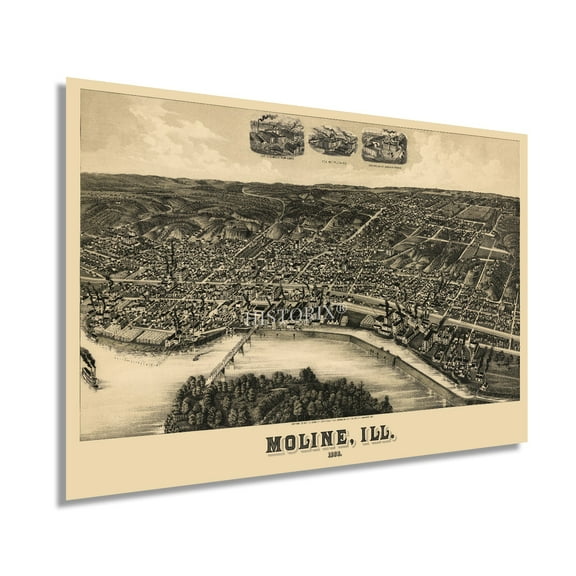HISTORIX 1889 Moline Illinois Map Vintage Poster Wall Art Print, 24 x 36 Inch
