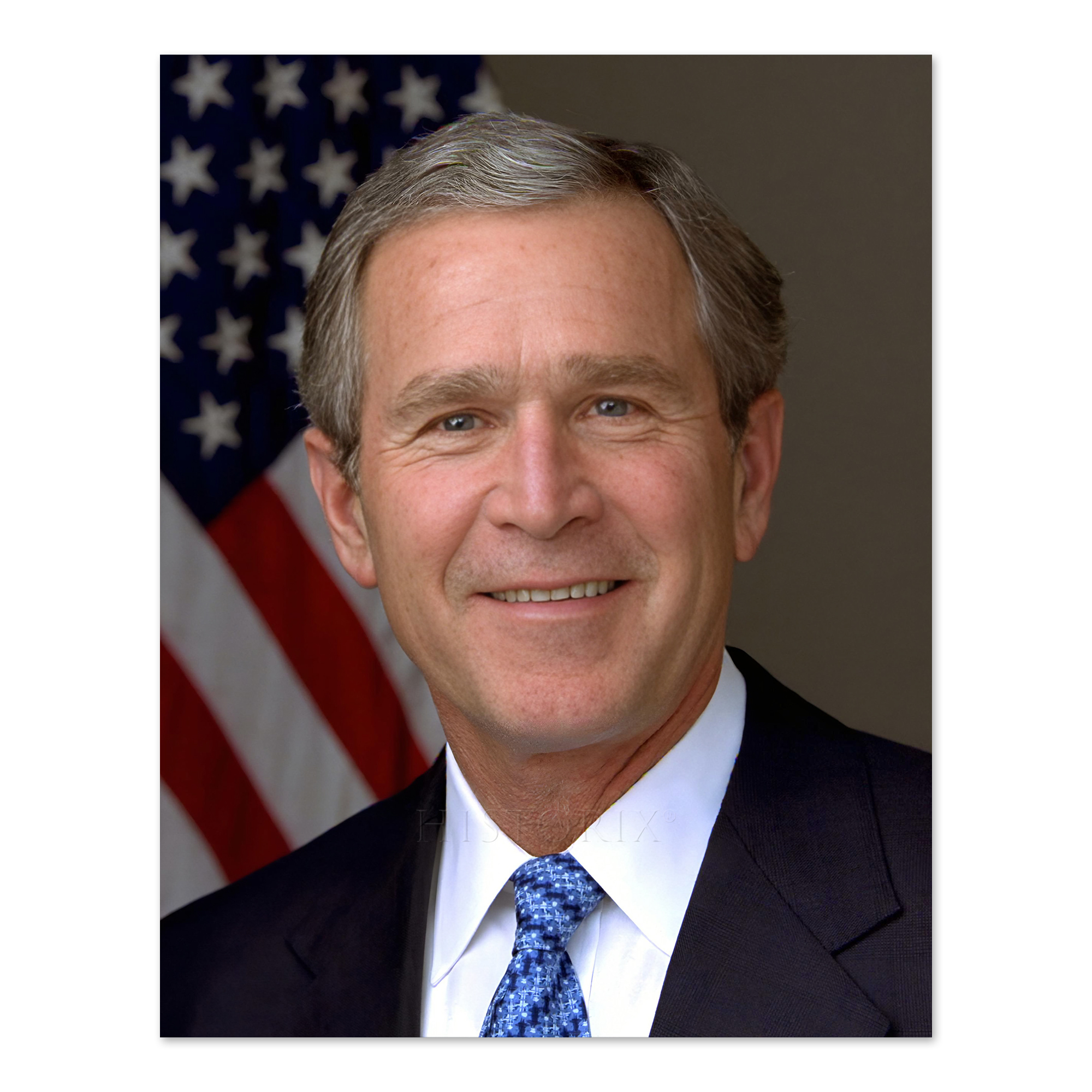 George W Bush 43rd President Of The United States Official Portrait 