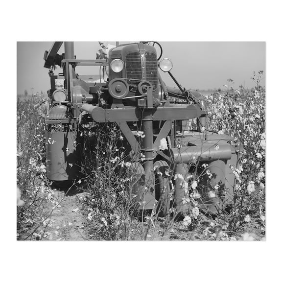 HISTORIX Vintage 1939 Rust Cotton Picker Photo Print - Old Photo of Cotton Picker in Cloverdale Plantation Clarksdale Mississippi Poster