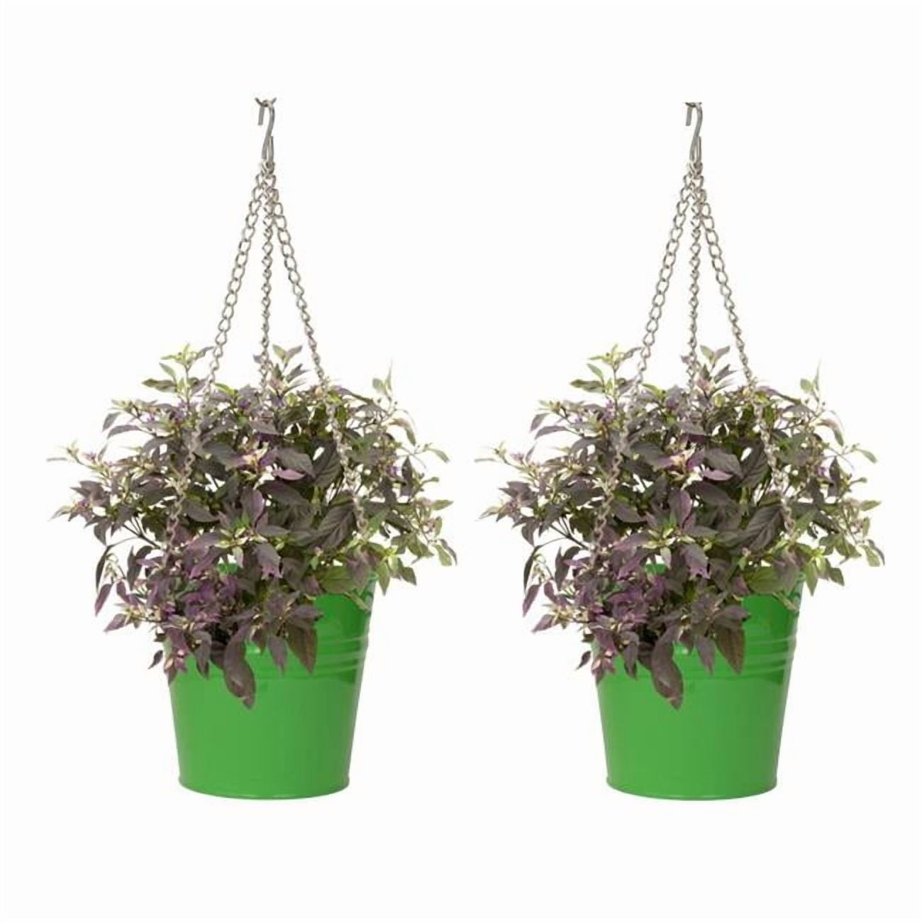 HIT 6151E AG S-2 9 x 9 in. Enameled Galvanized Steel Hanging Planter, Apple Green - Set of 2