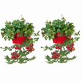 thumbnail image 1 of HIT 8399E XR S-2 Enameled Galvanized Steel Upsidedown Hanging Planter, Red - Set of 2, 1 of 1