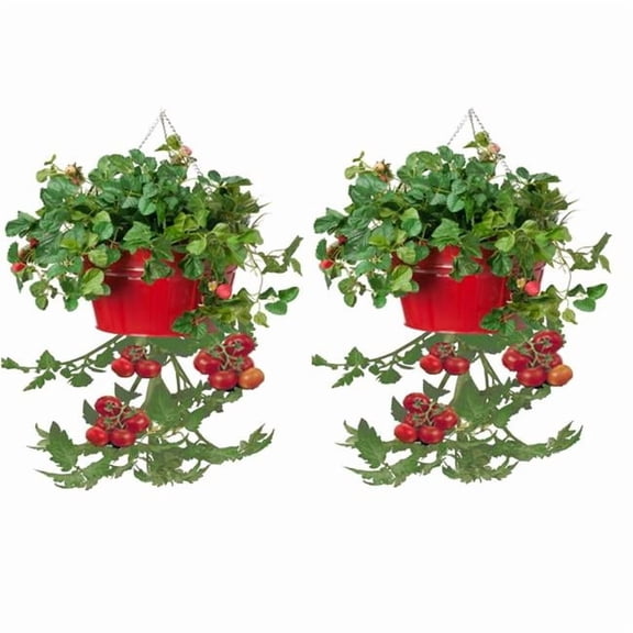 HIT 8399E XR S-2 Enameled Galvanized Steel Upsidedown Hanging Planter, Red - Set of 2