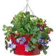 thumbnail image 1 of HIT 8494E XR 14 x 8 in. Enameled Galvanized Strawberry Floral Hanging Planter, Red, 1 of 1