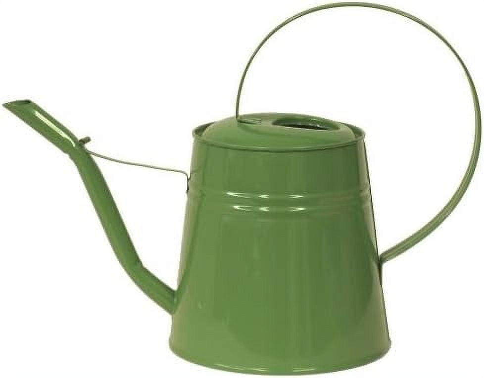 HIT 8557E SA Enameled Galvanized Heavy Gauge Steel Watering Can, 3Quart, Sage