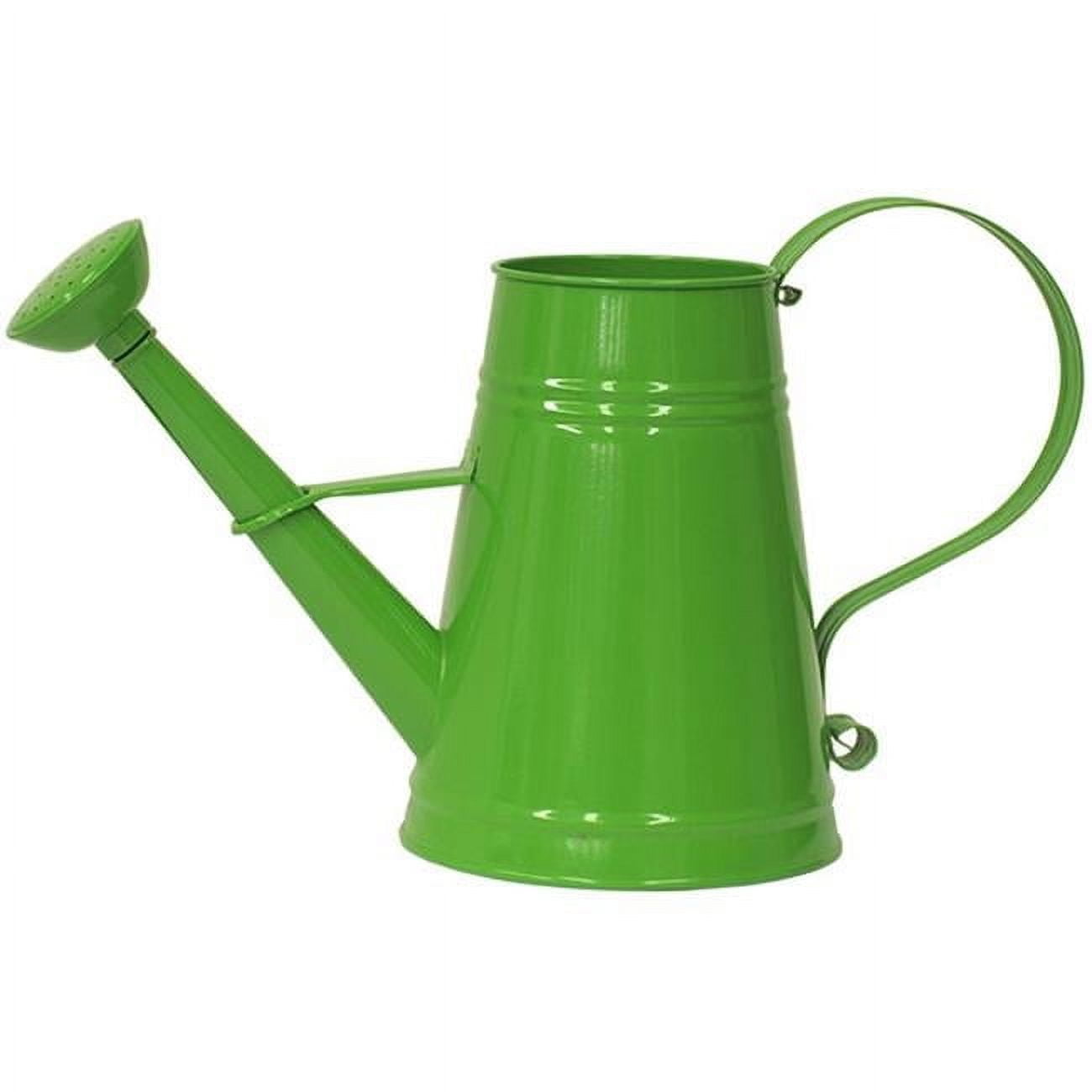 HIT 8566E AG 1 gal Enameled Galvanized Steel Watering Can with Removable Rosette, Apple Green