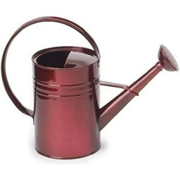HIT 8582E GA 1 gal Enameled Galvanized Steel Watering Can with Removable Rosette, Glazed Apple