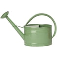 thumbnail image 1 of HIT 8584E SA 2.5 gal Enameled Galvanized Steel Watering Can with Removable Rosette, Sage, 1 of 1