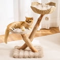 thumbnail image 1 of HITTITE Natural Solid Wood Cat Tree Tower with Scratching Post, 32 Inches Tall Modern Cat Tower with Rattan Bed and Platforms, Luxury Real Branch Cat Tree for Indoor Cats Large Adult, Khaki., 1 of 9