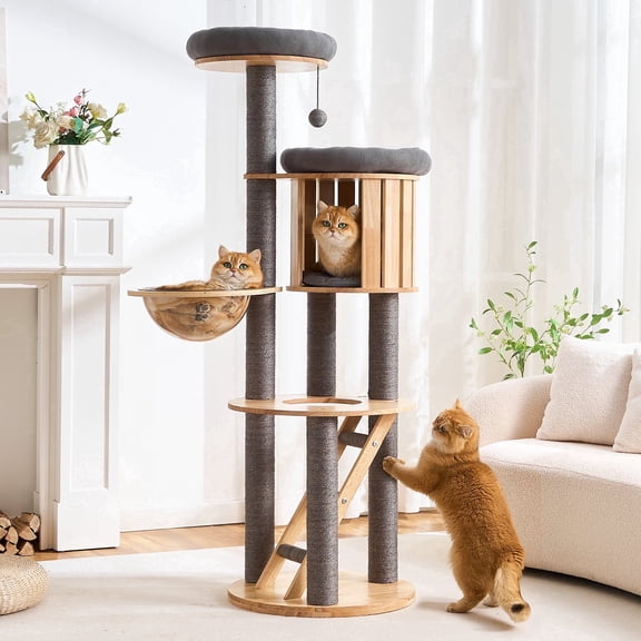 HITTITE Solid Wood Cat Tree Tower with Scratching Post, 61 Inches Tall Cat Towers with Capsule and Condo, Modern Cat Tower with Climbing Ladder and Removable Top Bed for Indoor Cats.Grey