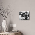 thumbnail image 1 of HIghland Bull Canvas Stretched, 0.75", 1 of 4