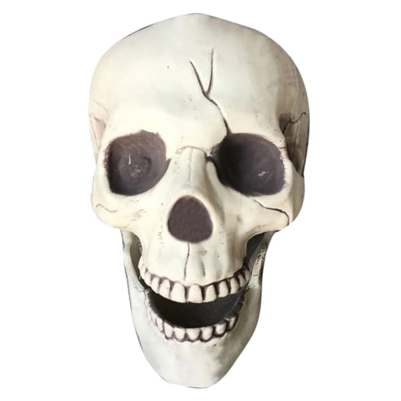 HJJLRH Human Skull Skeleton Life Size for Halloween Skull Model 1:1 Replica Plastic Skull Head Graveyard Outdoor Decor, Halloween Prop