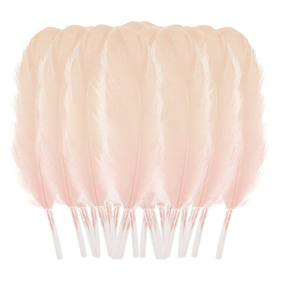 HJQEQVD 50 Pcs Feathers Crafts for DIY Craft Jewelry Making Wedding Home Party Decorations DIY Feathers for Hair Cat Stick Clothing Craft Decoration Plumage